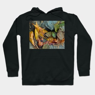 Irish Autumn Leaves Hoodie